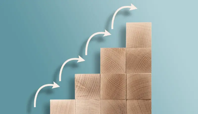 Main Steps in the Application Process